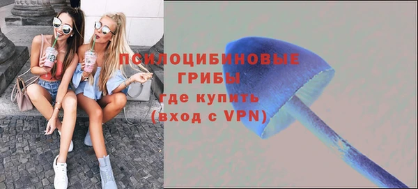 твердый Богданович
