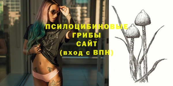 твердый Богданович