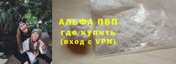 твердый Богданович