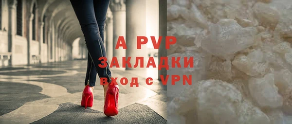 твердый Богданович
