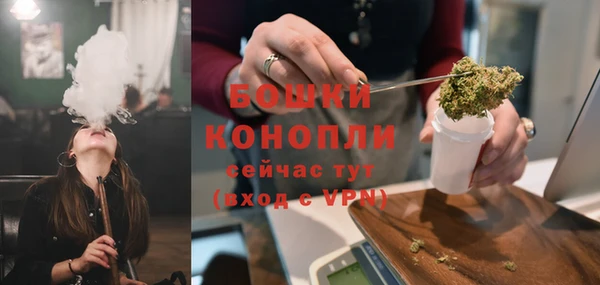 твердый Богданович