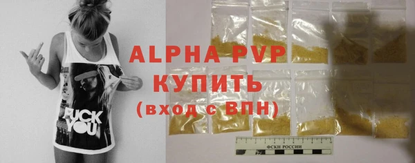 твердый Богданович