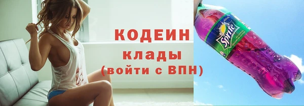твердый Богданович