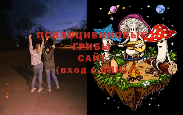 гашишное масло Богородицк