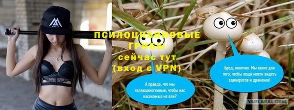 гашишное масло Богородицк