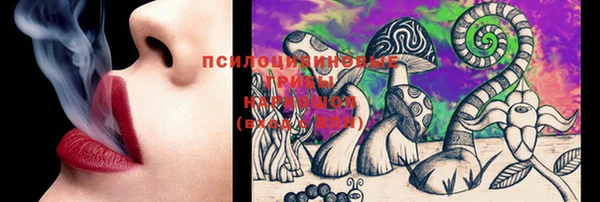 меф Белокуриха