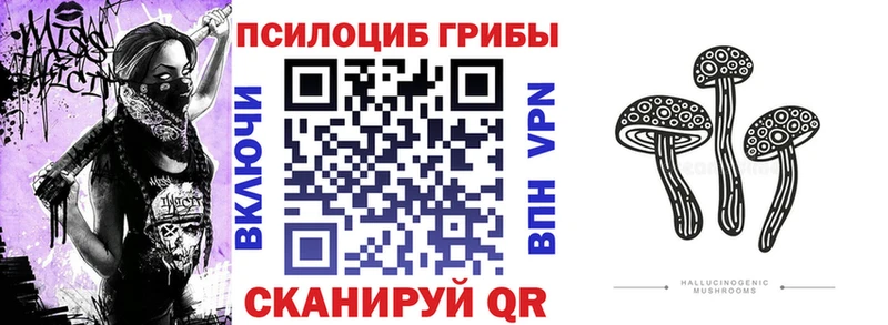 купить наркотик  ссылка на мегу ONION  Галлюциногенные грибы мицелий  Тихвин 
