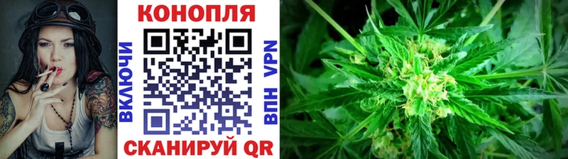 darknet Telegram  сколько стоит  Тихвин  Марихуана Ganja 